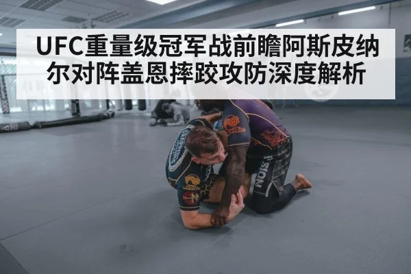 UFC重量级冠军战前瞻阿斯皮纳尔对阵盖恩摔跤攻防深度解析