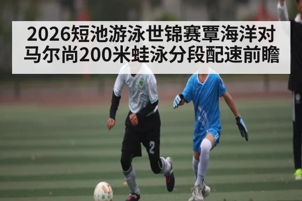 2026短池游泳世锦赛覃海洋对马尔尚200米蛙泳分段配速前瞻